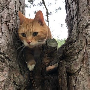 Meet your Posher, Maureen